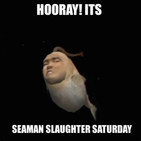 iplaywithseaman twitter|Seamen .